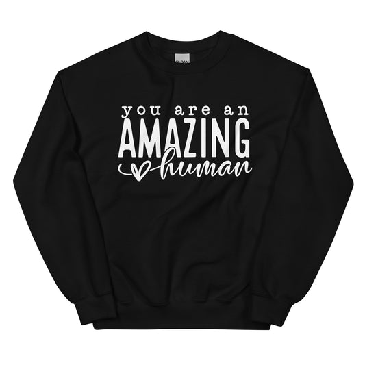 You Are An Amazing Human Sweatshirt