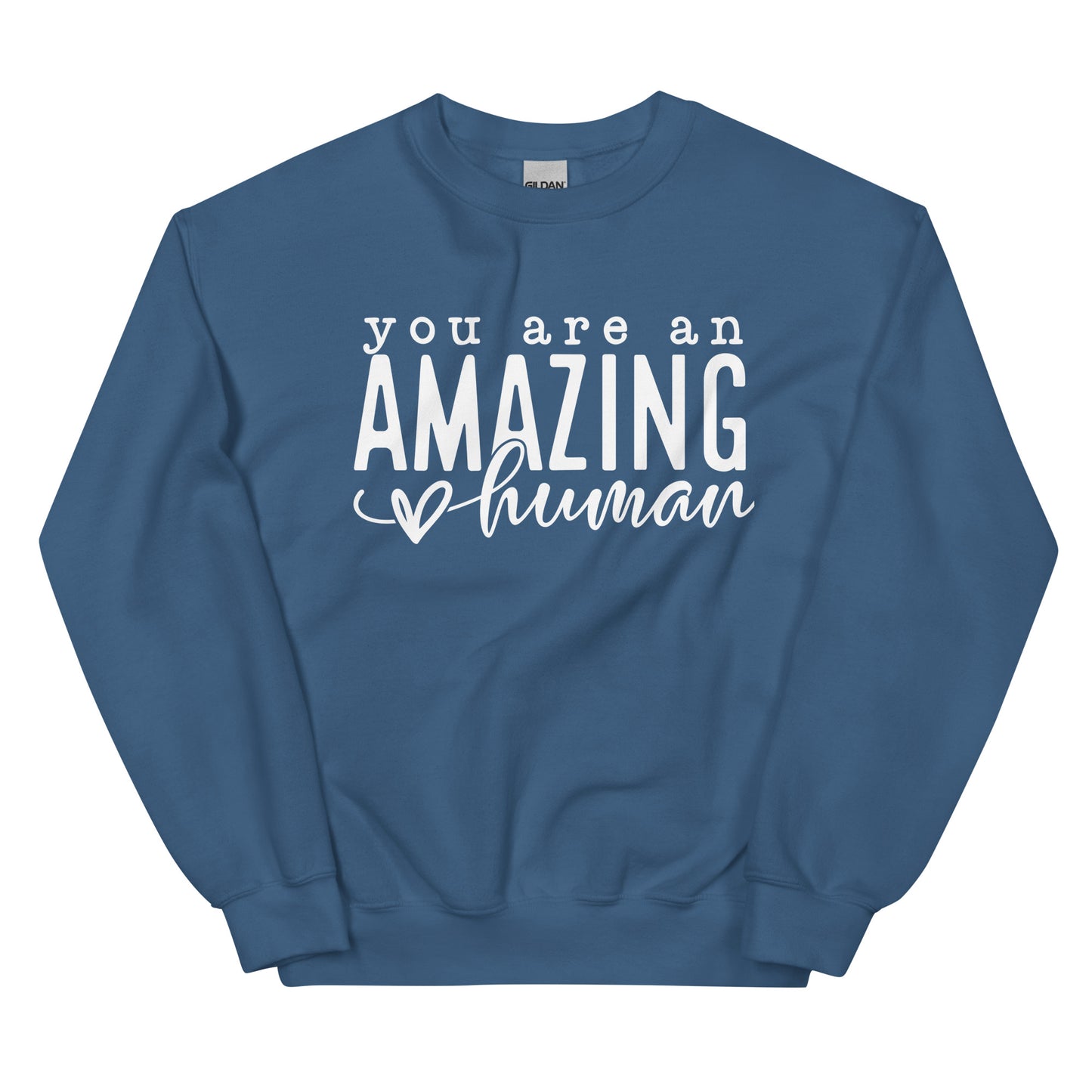 You Are An Amazing Human Sweatshirt